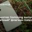 Для фанатов: Samsung выпустил "бюджетный" флагман Galaxy S21 FE